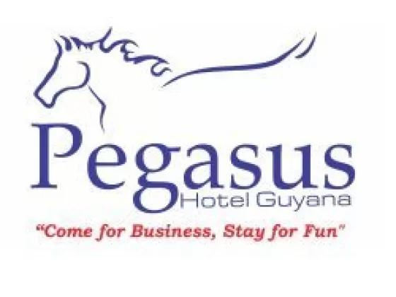 Pegasus Suites & Corporate Center